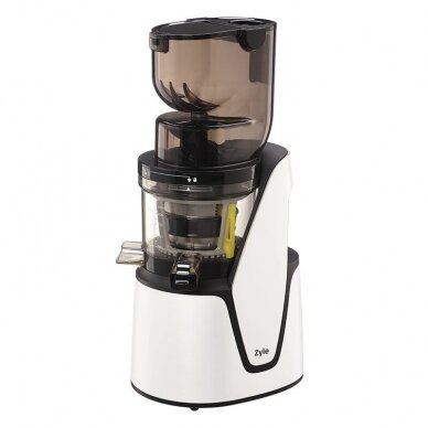 Low speed juicer ZY016WSJ