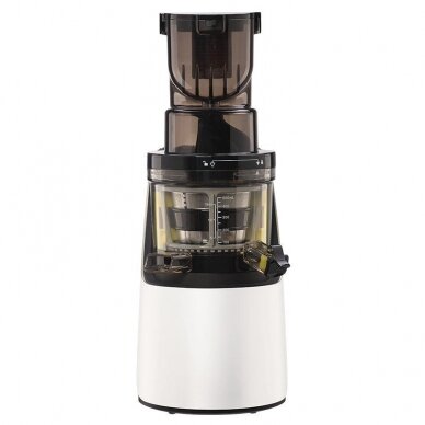 Low speed juicer ZY016WSJ 2