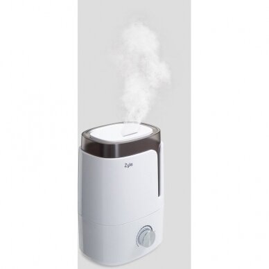 Air humidifier ZY201HW 2